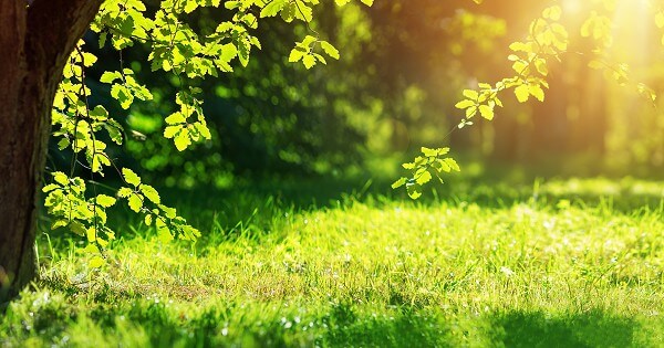 Bible Verses About Discipleship