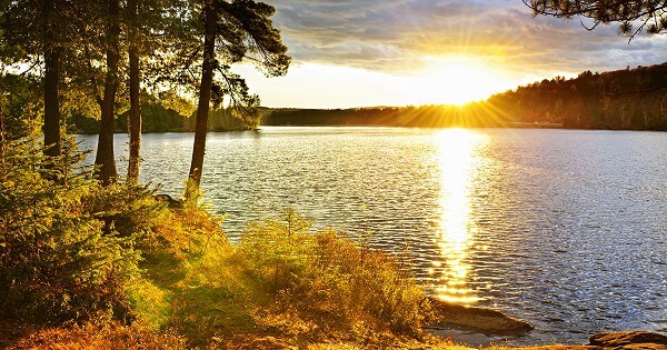 Bible Verses About Food