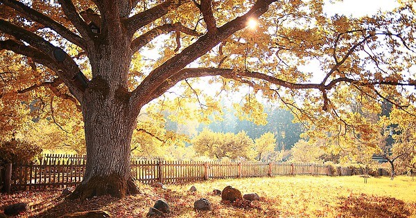 Bible Verses About Nervousness