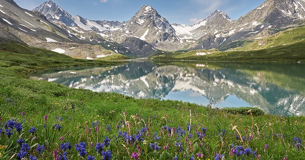 Bible Verses About Following Jesus