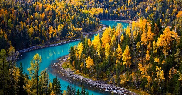 Bible Verses About Living for God